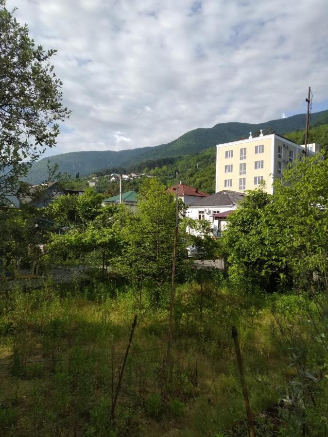 Na Shapsug Guest House Gagra Exterior photo